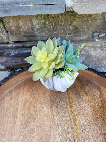 Verdant Elegance: Faux Monochrome Succulent Arrangement in gray ceramic pot | Artificial Succulent Decor | Succulent Gift | Decorative Plant