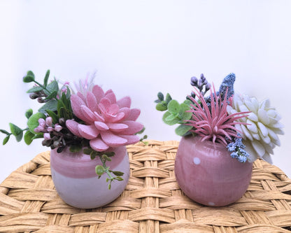 Pink Petal Pairs: Adorable Mini Faux Succulent Duos | Artificial Succulent Arrangements | Decorative plant | Home Accents | Desk Plant