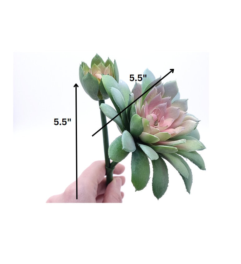 Soft Touch Faux Succulent Pick with Baby 7" by 5.5" D - Green/Pink | Echeveria | Dusted | High Quality Artificial Plant | 1 count