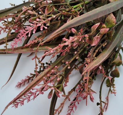 Mixed Greenery & Astilbe/Thistle Bush/Spray/Stems 14" - Green/Pink | Floral Arrangement Filler | Artificial Greenery Bush