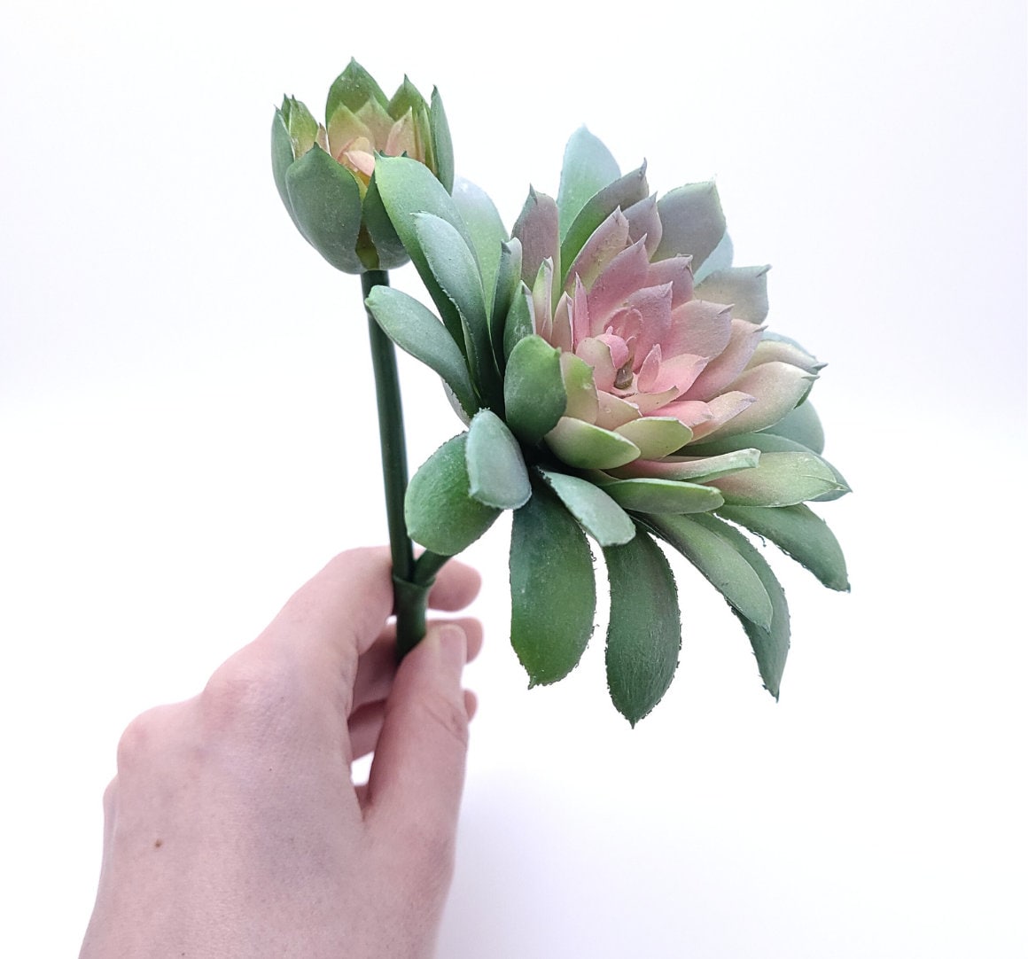 Soft Touch Faux Succulent Pick with Baby 7" by 5.5" D - Green/Pink | Echeveria | Dusted | High Quality Artificial Plant | 1 count