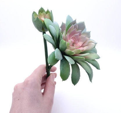 Soft Touch Faux Succulent Pick with Baby 7" by 5.5" D - Green/Pink | Echeveria | Dusted | High Quality Artificial Plant | 1 count