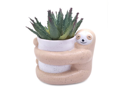 Hugging Sloth Planter with Drainage Hole | Sloth Resin Planter Pot | Succulent Planter Pot | Cute Animal Planter | Housewarming Gift